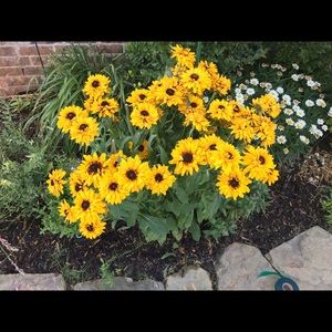 Meet your Posher, Stacy